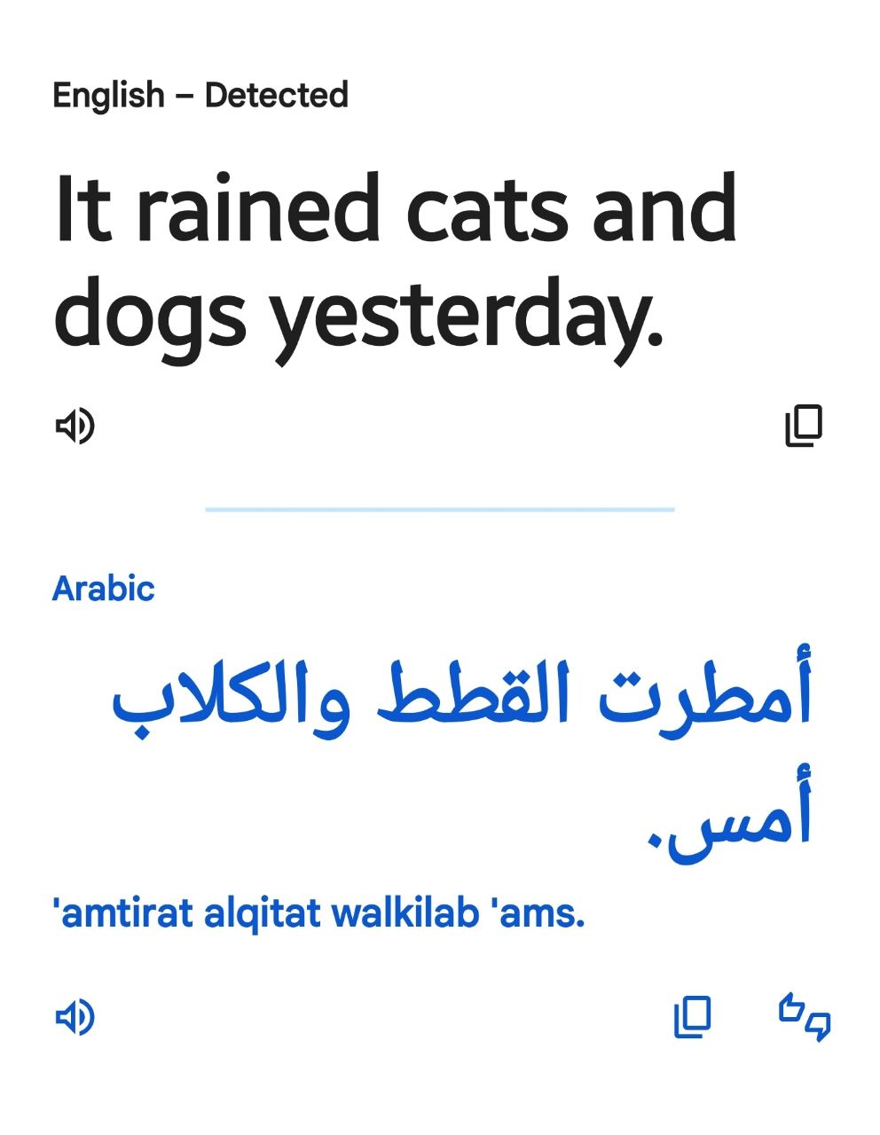 لقططة من ترجمة جوجل ترانسليت للعبارة الاصطلاحية rained cata and dogs