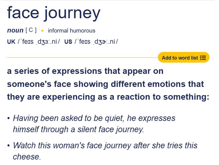 لقطة شاشة من تعريف عبارة face journey في قاموس كِمبرِدج